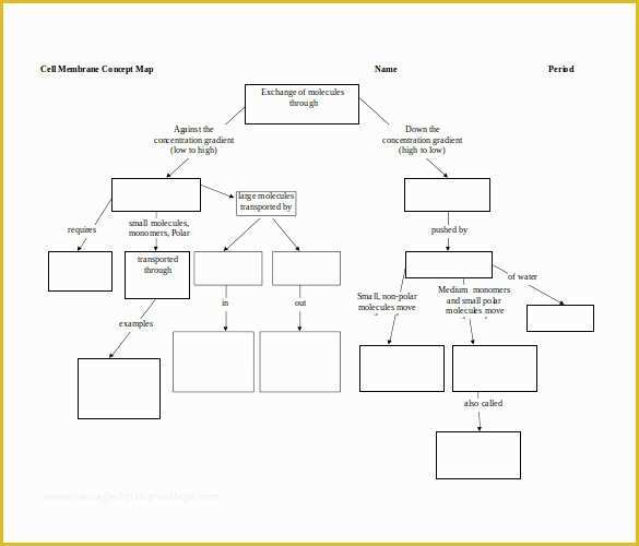 Free Concept Map Template Of 10 Sample Concept Map Templates