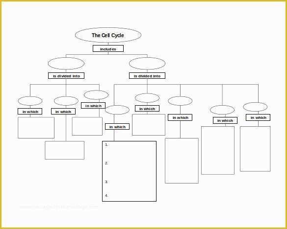 Free Concept Map Template Of 10 Sample Concept Map Templates