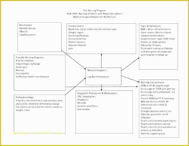 Free Concept Map Template Of Nursing Concept Map Template Pdf top Result New Ept Maps
