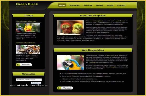 Free Css Website Templates Of Free Dark Green Black Css HTML Website Template