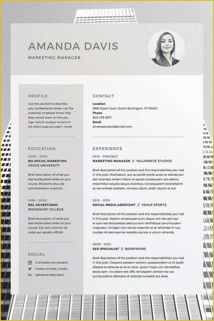 Free Curriculum Vitae Template Word Of Best 25 Free Cv Template Ideas On Pinterest