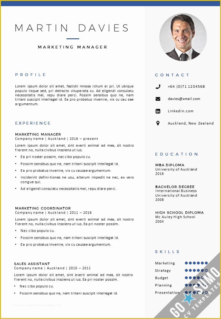 Free Curriculum Vitae Template Word Of Cv Template Auckland Gosumo Cv Template