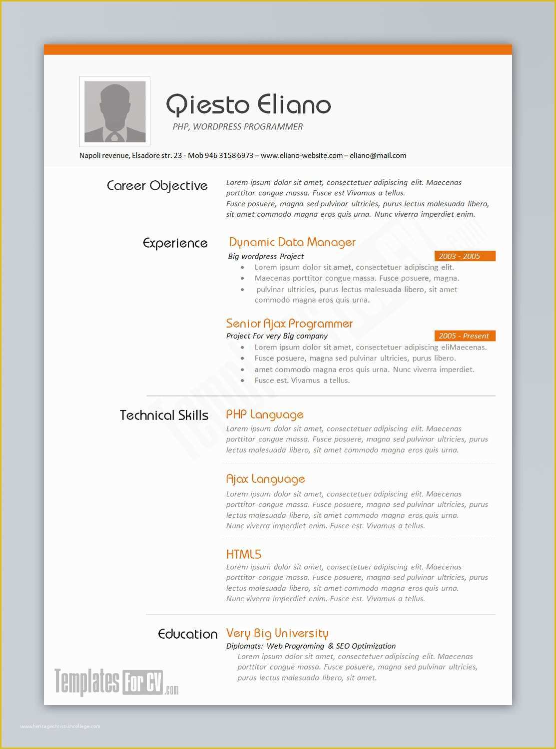 Free Curriculum Vitae Template Word Of Cv Template Word Microsoft