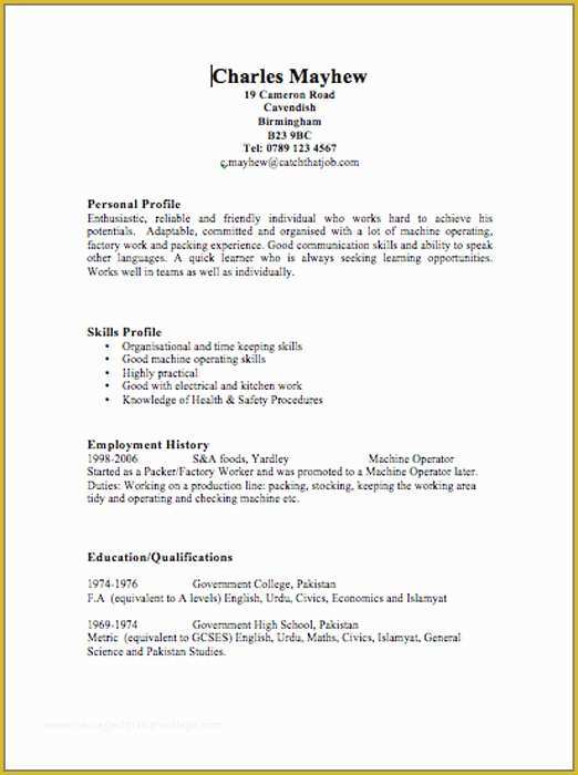 Free Curriculum Vitae Template Word Of Cv Templates