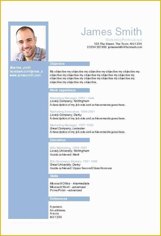 Free Curriculum Vitae Template Word Of Cv Word