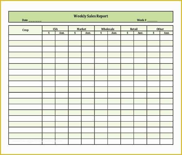 Free Daily Sales Report Template Of 11 Sales Report Templates Docs Pages Pdf Word