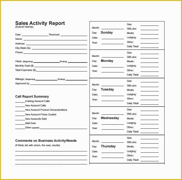 Free Daily Sales Report Template Of 13 Sales Report Templates