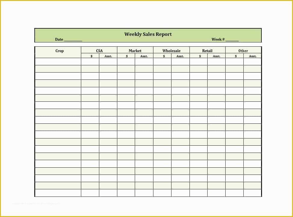 Free Daily Sales Report Template Of 45 Sales Report Templates [daily Weekly Monthly Salesman