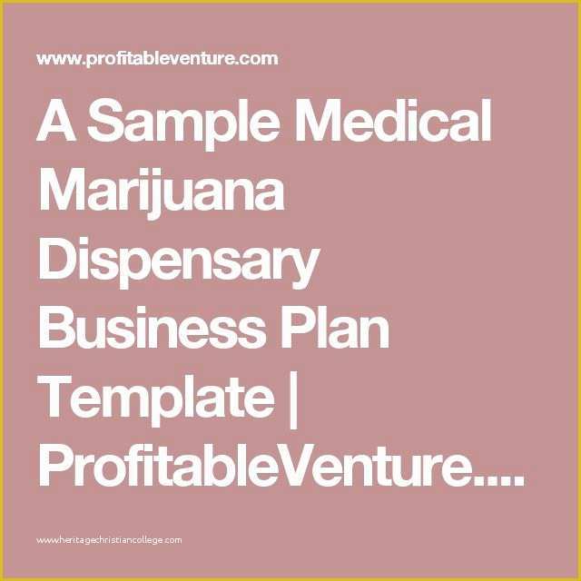 Free Dispensary Business Plan Template Of 17 Best Ideas About Business Plan Template On Pinterest