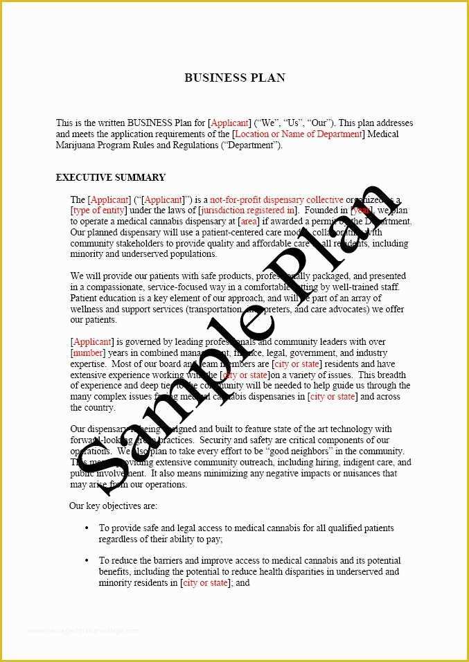 Free Dispensary Business Plan Template Of Business Plan Sample