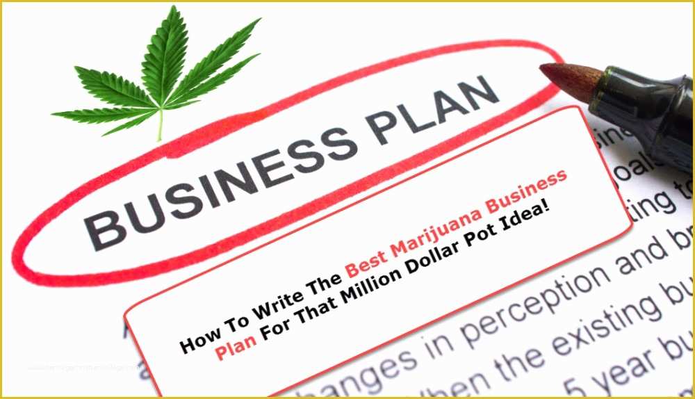 Free Dispensary Business Plan Template Of Dispensary Business Plan