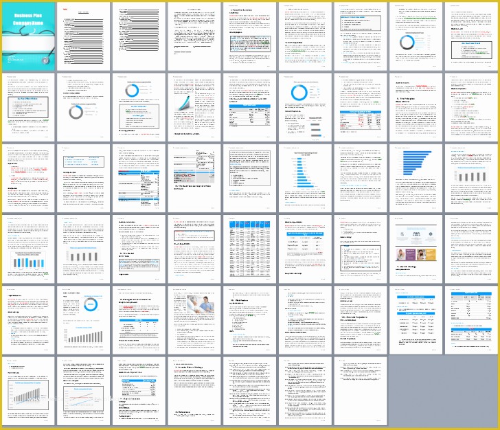 Free Dispensary Business Plan Template Of Home Health Care Business Plan – Free Dispensary Business