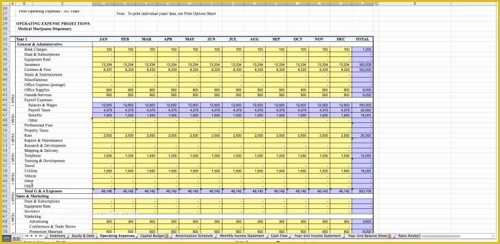 Free Dispensary Business Plan Template Of Template Investment Summary Template Investor Business