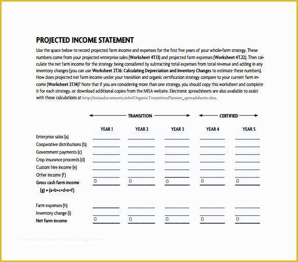 Free Earnings Statement Template Of 12 Projected In E Statement Templates