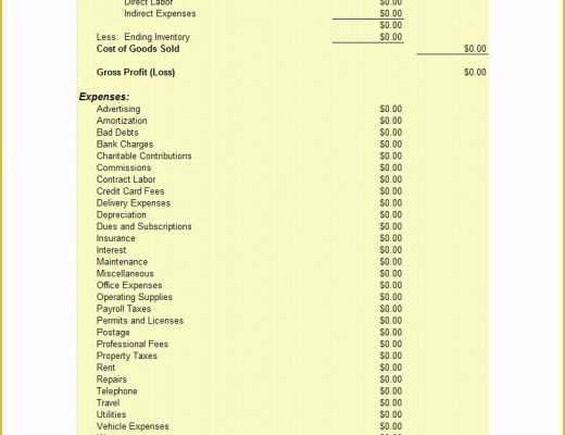 Free Earnings Statement Template Of 27 In E Statement Examples &amp; Templates Single Multi