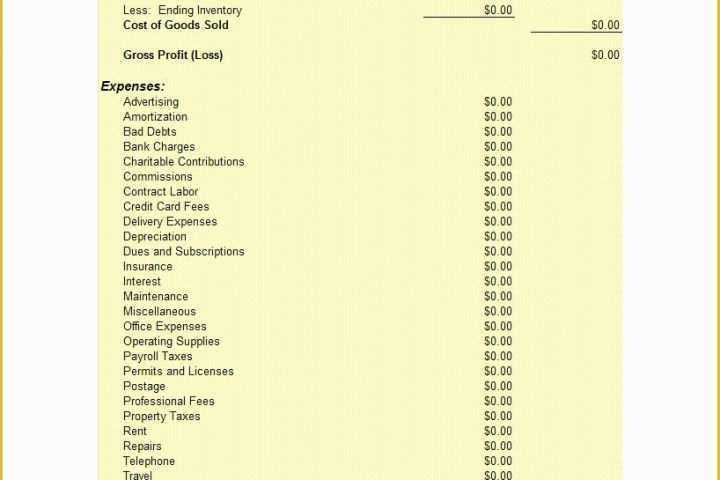 Free Earnings Statement Template Of 27 In E Statement Examples &amp; Templates Single Multi