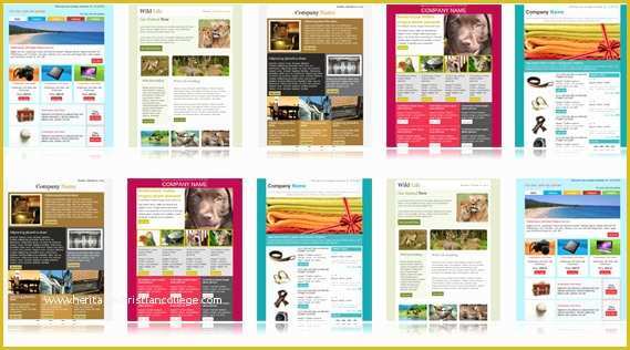 Free Email Marketing Templates Of Newsletter Template Samples