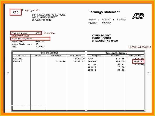 Free Fake Check Stubs Template Of Check Stub Templatesee Fillable Blank Pay Stubs Example