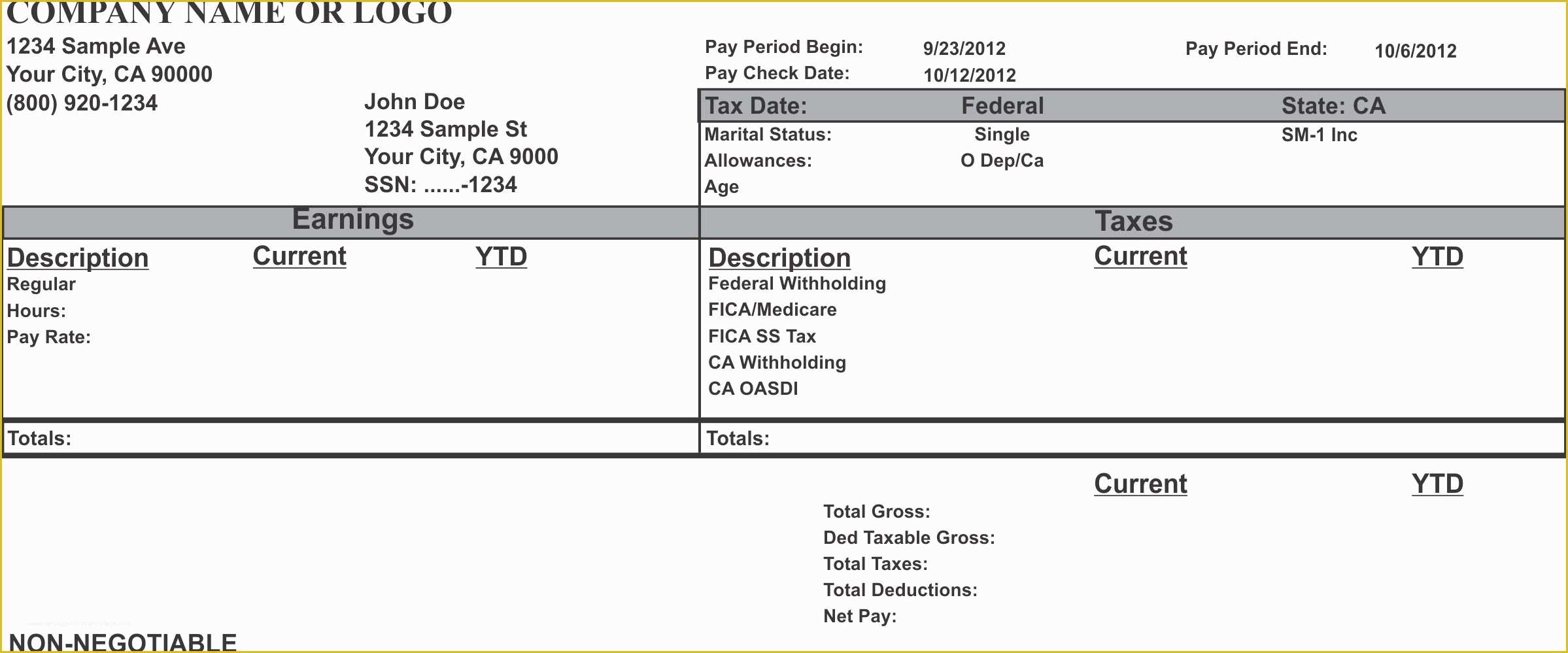 Fake Pay Stubs Templates - Shefalitayal In Blank Pay Stub Template Word