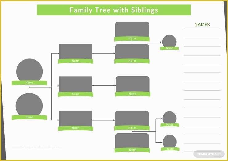 Free Family Tree with Siblings Template Of 34 Family Tree Templates Pdf Doc Excel Psd