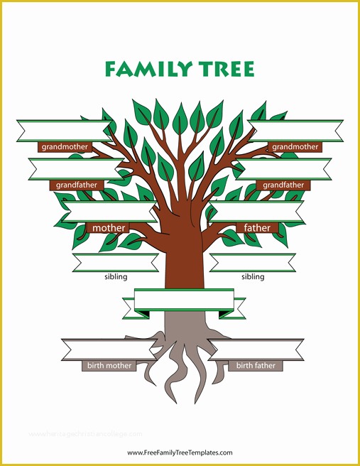 Free Family Tree with Siblings Template Of Adoptive Family Tree with Siblings Template – Free Family