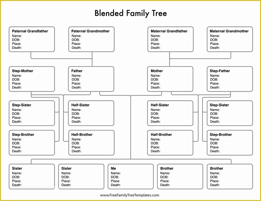 Free Family Tree with Siblings Template Of Blended Family Tree Template – Free Family Tree Templates