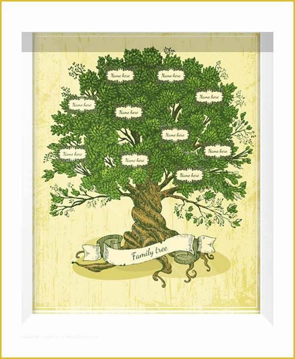 Free Family Tree with Siblings Template Of Family Tree Template 10 Free Psd Pdf Documents