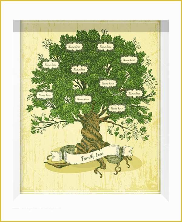 Free Family Tree with Siblings Template Of Family Tree Template 10 Free Psd Pdf Documents