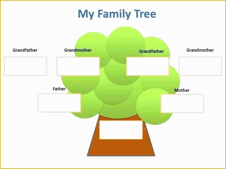 Free Family Tree with Siblings Template Of Free Family Template Genealogy Tree Template Family