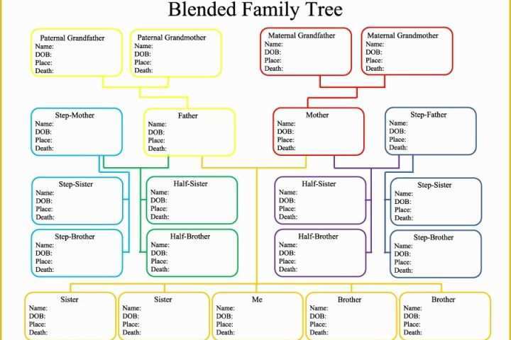 Free Family Tree with Siblings Template Of Printable Family Tree with Siblings Printable Pages