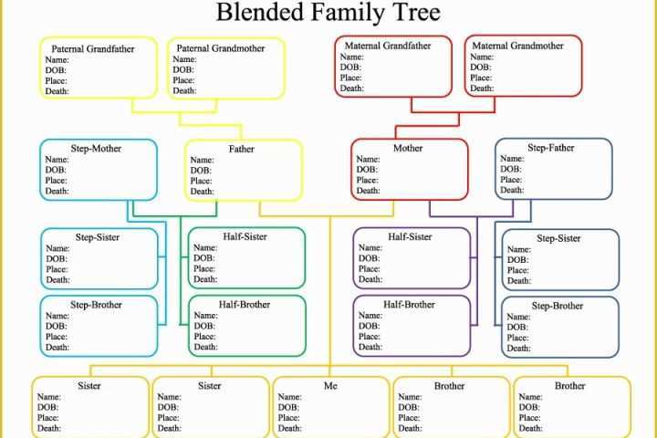 Free Family Tree with Siblings Template Of Printable Family Tree with Siblings Printable Pages