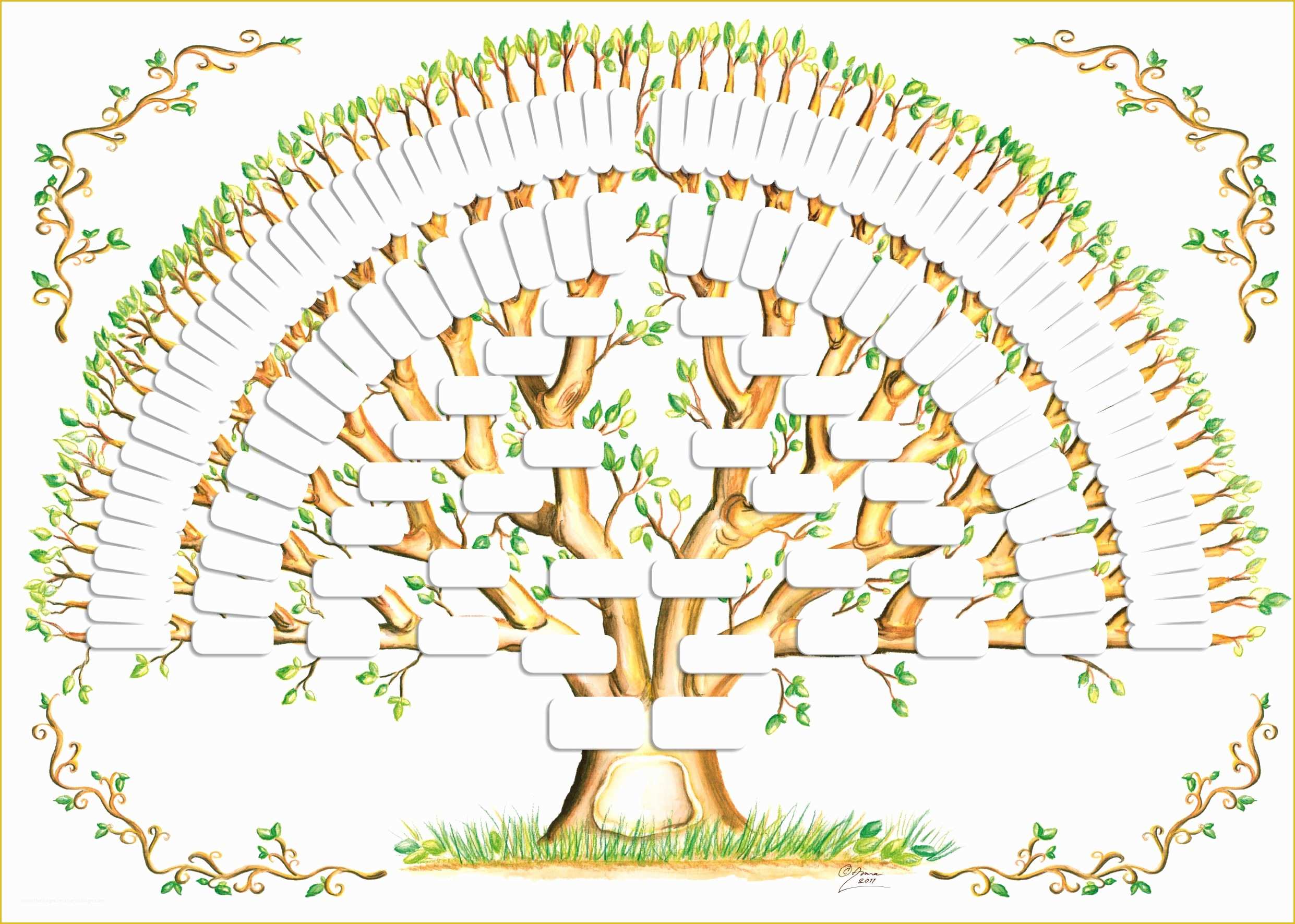 Free Fill In Family Tree Template Of 5 Generation Family Tree Template Tree Gallery
