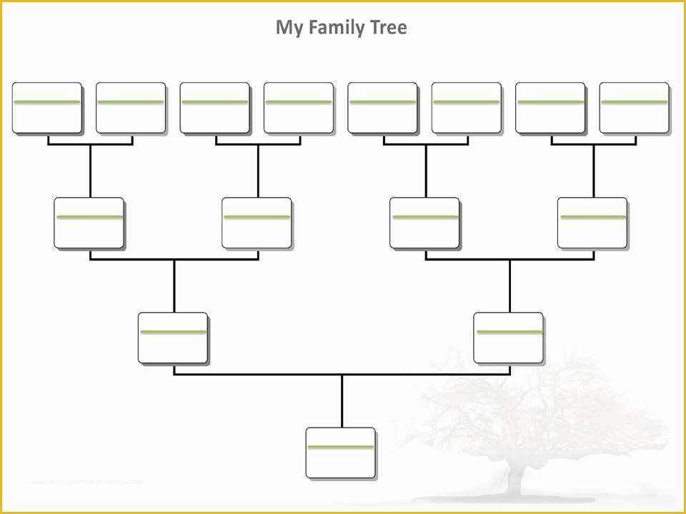 Free Fill In Family Tree Template Of Blank Family Tree Template