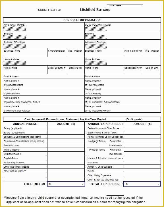 Free Financial Statement Template Of 40 Personal Financial Statement Templates & forms