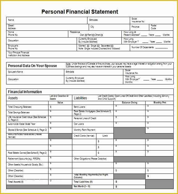 Free Financial Statement Template Of 40 Personal Financial Statement Templates & forms