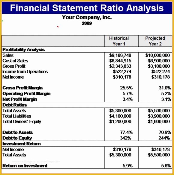 Free Financial Statement Template Of Financial Statement Example Driverlayer Search Engine