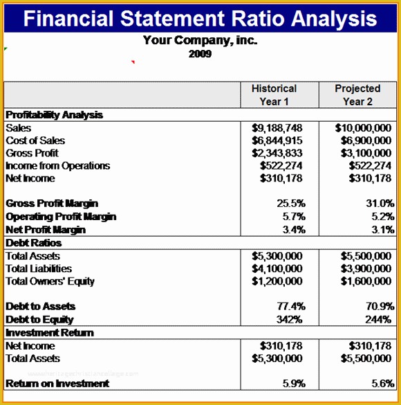 Free Financial Statement Template Of Financial Statement Example 