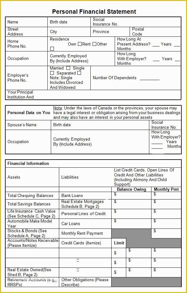 Free Financial Statement Template Of Personal Financial Statement Templates 9 Download Free