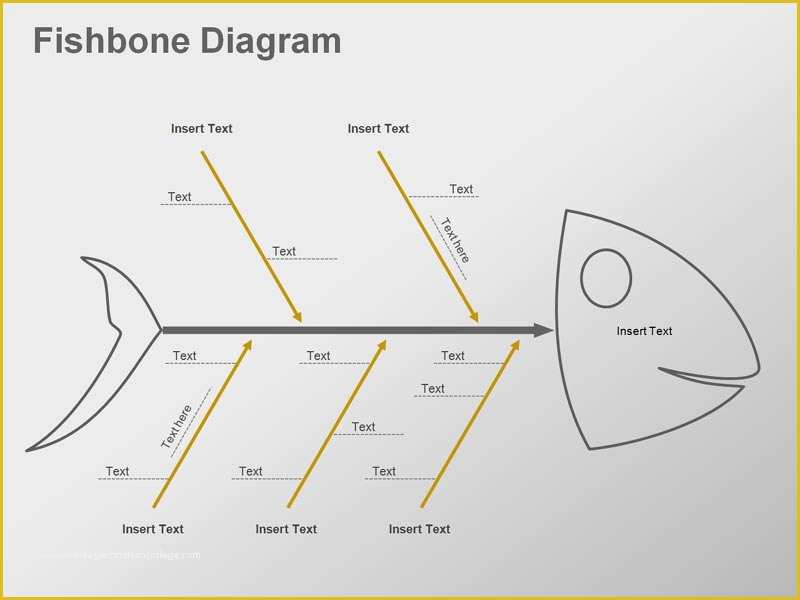 Free Fishbone Diagram Template Of 5 Best Of ishikawa Diagram Template Word Blank
