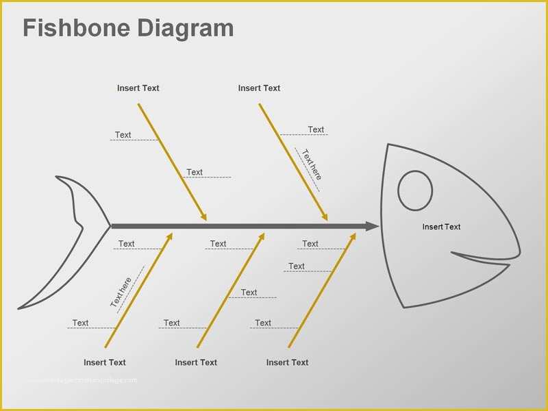 Lab Value Fishbone Template Word