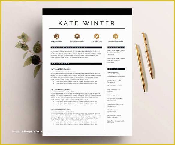 Free Graphic Design Resume Template Of 8 Creative and Appropriate Resume Templates for the Non