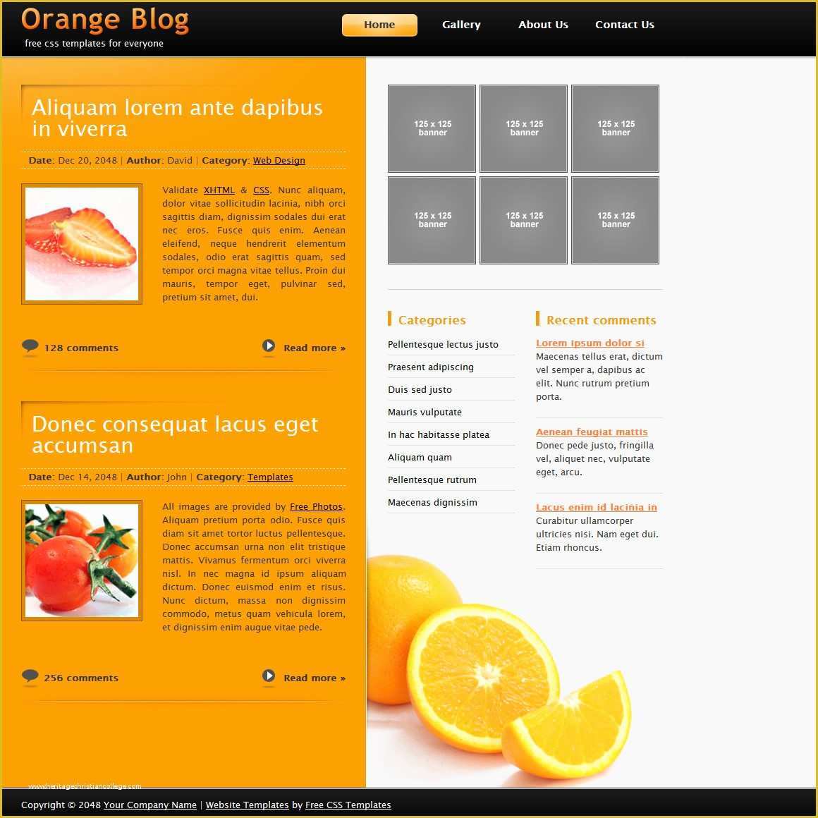 Free HTML Templates Of Free Css Templates Free Css Website Templates Download
