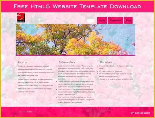 Free HTML Templates Of the Best Free HTML5 Templates Dzinepress