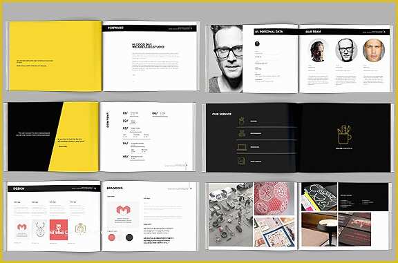 Free Indesign Photography Portfolio Template Of 10 Excellent Booklet Design Templates for Flourishing
