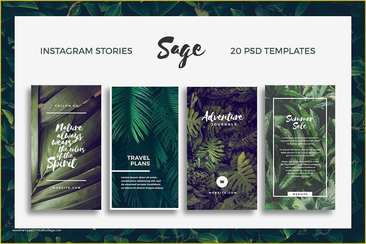 Free Instagram Story Templates Of Sage Instagram Story Templates Instagram Templates