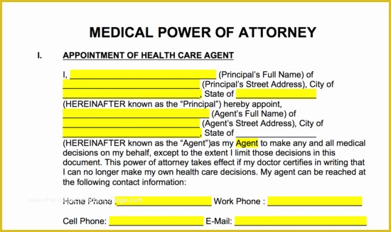 Free Living Will Template Illinois Of Free Medical Power Of attorney forms