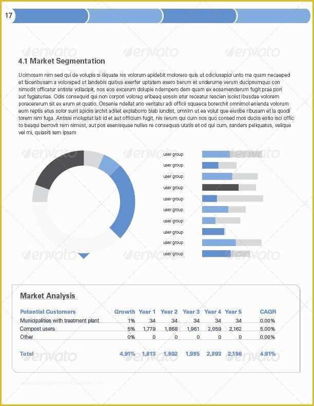 Free Llc Business Plan Template Of 42 Pages Business Plan Template by Sthalassinos