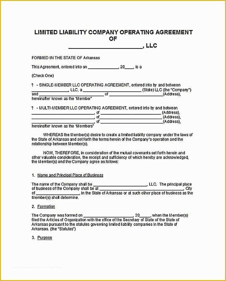 Free Llc Business Plan Template Of Business Plan Template Llc Boisefrycopdx