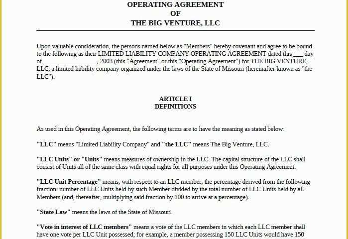 Free Llc Business Plan Template Of Free Llc Business Plan Template