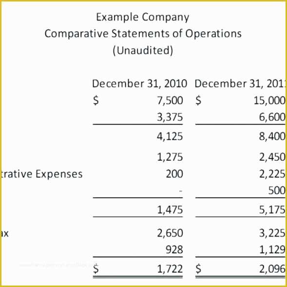 Free Llc Business Plan Template Of Llc Financial Statement Template Integrated Financial